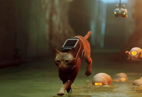 Stray Xbox