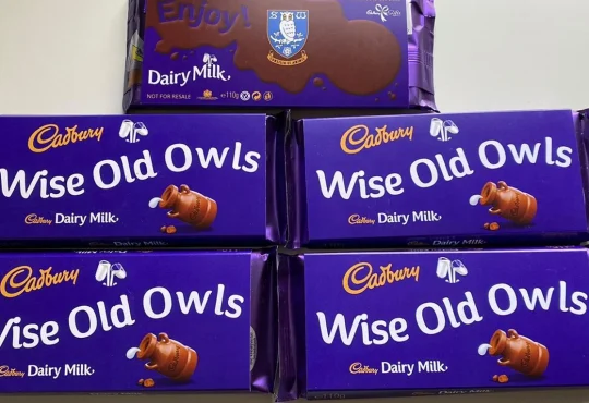 Dairy Milk Chocolate Bar