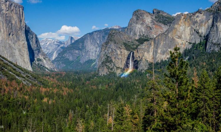 Yosemite National Park