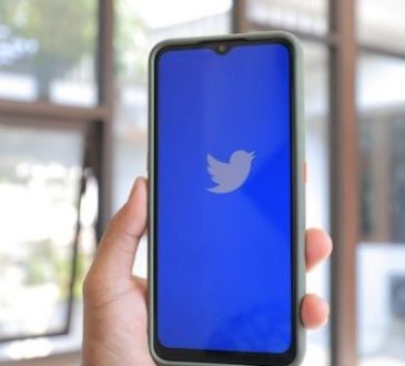 Twitter APIlyons Theverge