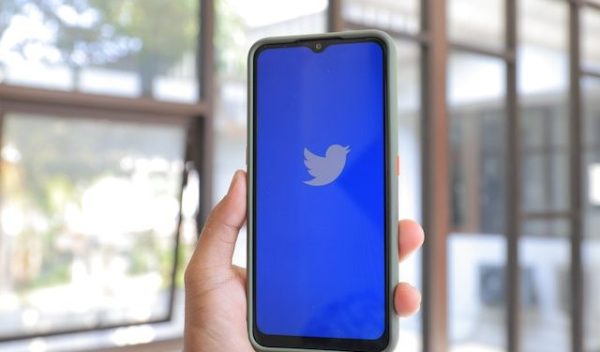 Twitter APIlyons Theverge