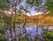 State Park