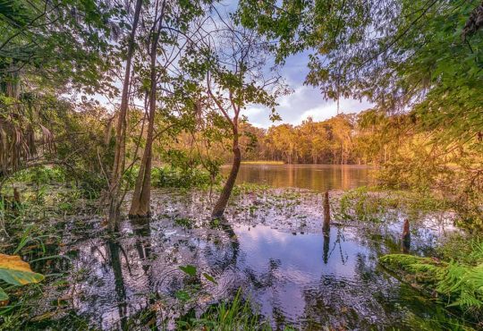 State Park