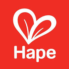 Hape Toys-SmartsSaving