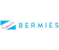 Bermies-SmartsSaving