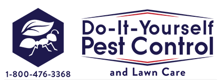 Do It Yourself Pest Control-SmartsSaving