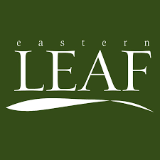 Eastern Leaf-SmartsSaving