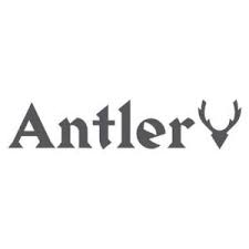 Antler-SmartsSaving