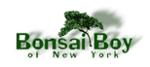 Bonsai Boy-SmartsSaving